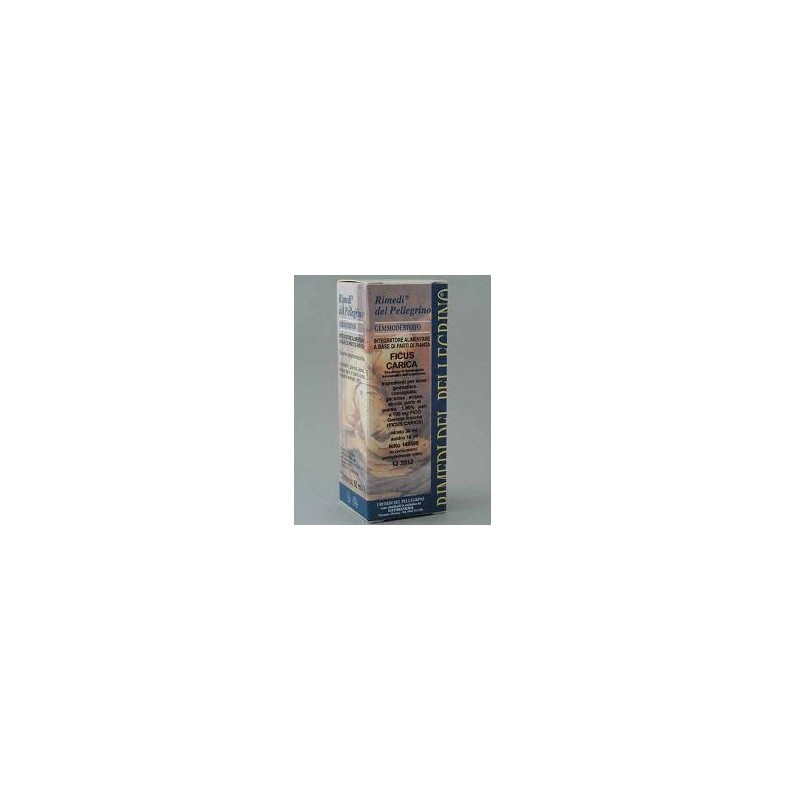 NaturFarma Rimedi del Pellegrino Gemmoderivato Fico 50 ml NaturFarma Rimedi del Pellegrino Gemmoderivato Fico 50 ml