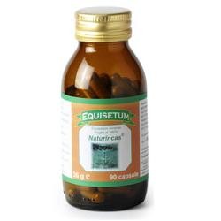Naturincas Equisetum... Naturincas Equisetum...