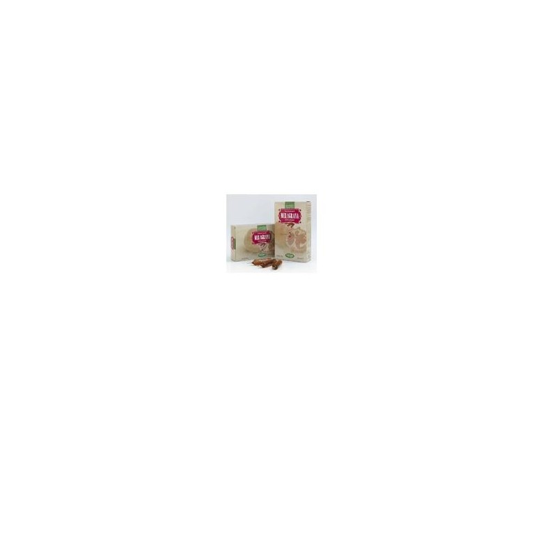 Natura Service Melagrana Bio Antiossidante 20 Ampolle da 15 ml Natura Service Melagrana Bio Antiossidante 20 Ampolle da 15 ml