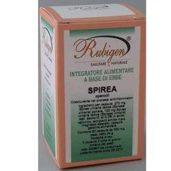 Rubigen Spirea Ulmaria...