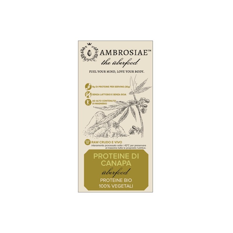 Ambrosiae Proteine di Canapa Bio Raw Senza Glutine 200 g Ambrosiae Proteine di Canapa Bio Raw Senza Glutine 200 g