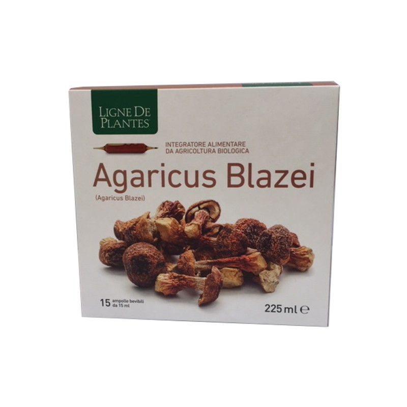 Natura Service Agaricus Blazei Bio Difese e Metabolismo 15 Ampolle Natura Service Agaricus Blazei Bio Difese e Metabolismo 15 Ampolle