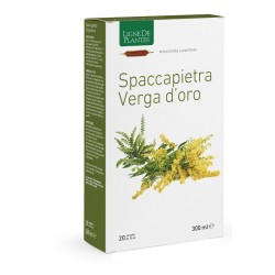Natura Service Spaccapietra... Natura Service Spaccapietra...