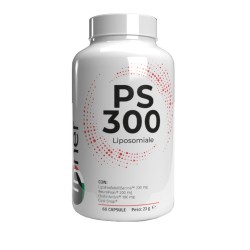 Moldes Inner Ps 300... Moldes Inner Ps 300...