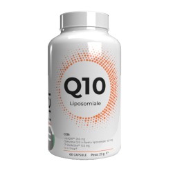 Moldes Inner Q10... Moldes Inner Q10...