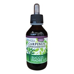 Flacone Sygnum Carpinus Gemmoderivato a Sostegno di Vie Respiratorie e Difese 100ml Flacone Sygnum Carpinus Gemmoderivato a Sostegno di Vie Respiratorie e Difese 100ml