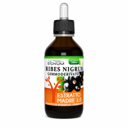 Sygnum Ribes Nigrum Estratto Madrea per Allergie e Rinite 100 ml Sygnum Ribes Nigrum Estratto Madrea per Allergie e Rinite 100 ml