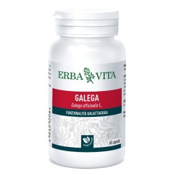 Barattolo Galega Erba Vita Integratore Metabolismo 60 Capsule Barattolo Galega Erba Vita Integratore Metabolismo 60 Capsule
