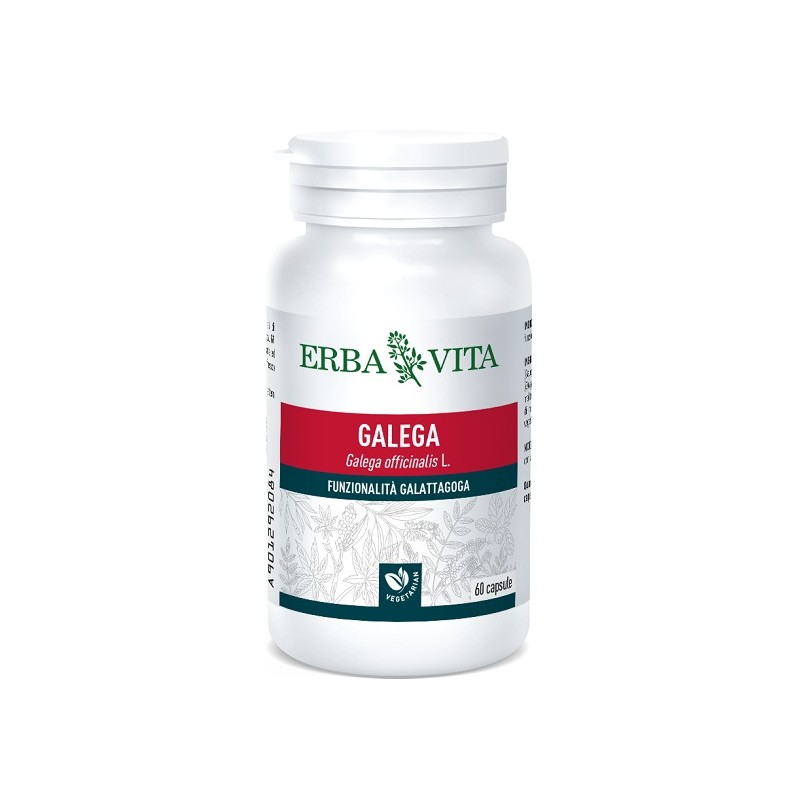 Barattolo Galega Erba Vita Integratore Metabolismo 60 Capsule Barattolo Galega Erba Vita Integratore Metabolismo 60 Capsule