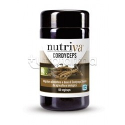 Nutriva Cordyceps 60 Capsule Nutriva Cordyceps 60 Capsule
