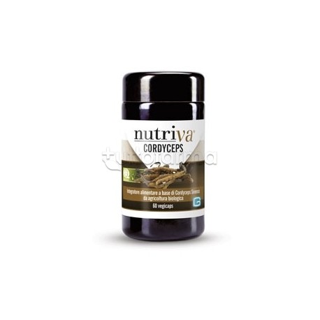 Nutriva Cordyceps 60 Capsule Nutriva Cordyceps 60 Capsule