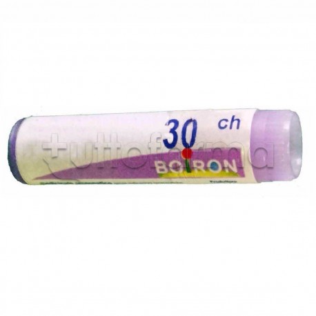 Boiron Colocynthis 30CH Monodose Globuli Omeopatici Boiron Colocynthis 30CH Monodose Globuli Omeopatici