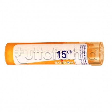 Boiron Conium Maculatum 15CH Granuli Omeopatici Tubo Boiron Conium Maculatum 15CH Granuli Omeopatici Tubo
