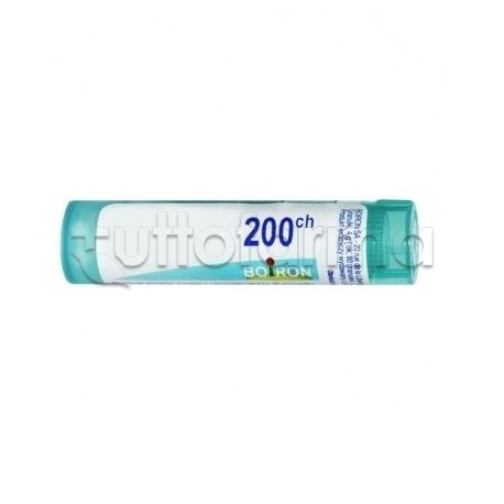 Boiron Lycopodium Clavatum 200CH Monodose Globuli Omeopatici