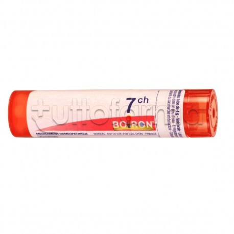 Boiron Mezereum 7CH Granuli Omeopatici Tubo Boiron Mezereum 7CH Granuli Omeopatici Tubo