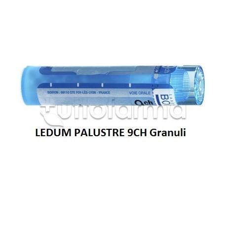 Boiron Ledum Palustre 9CH Granuli Omeopatici Tubo da 4gr Boiron Ledum Palustre 9CH Granuli Omeopatici Tubo da 4gr