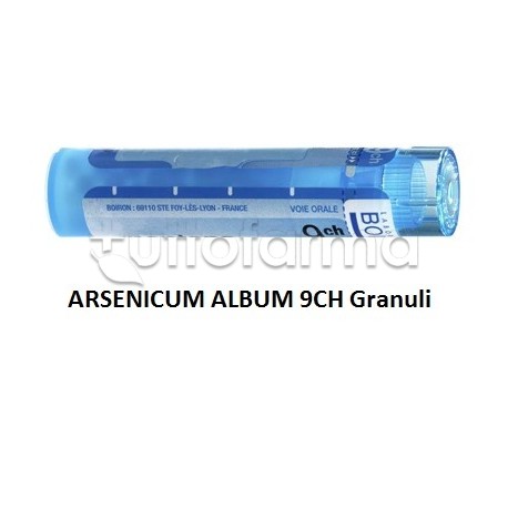 Boiron Arsenicum Album 9CH Granuli Omeopatici Tubo da 4gr Boiron Arsenicum Album 9CH Granuli Omeopatici Tubo da 4gr