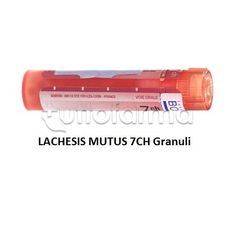 Boiron Lachesis Mutus 7CH Granuli Omeopatici Tubo da 4gr Boiron Lachesis Mutus 7CH Granuli Omeopatici Tubo da 4gr