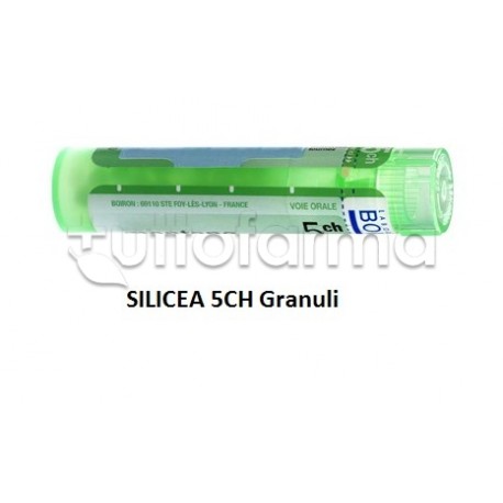 Boiron Silicea 5CH Granuli Omeopatici Tubo da 4gr Boiron Silicea 5CH Granuli Omeopatici Tubo da 4gr