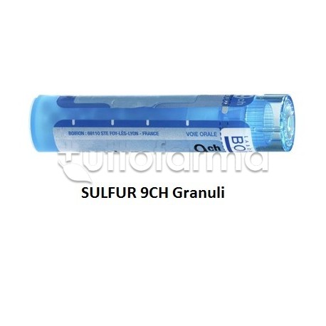Boiron Sulfur 9CH Granuli Omeopatici Tubo da 4gr Boiron Sulfur 9CH Granuli Omeopatici Tubo da 4gr