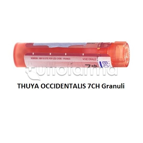 Boiron Thuya Occidentalis 7CH Granuli Omeopatici Tubo da 4gr Boiron Thuya Occidentalis 7CH Granuli Omeopatici Tubo da 4gr