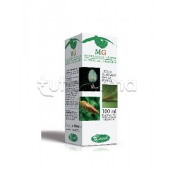 Sangalli Betula Verrucosa Linfa Macerato Glicerico 100ml Sangalli Betula Verrucosa Linfa Macerato Glicerico 100ml