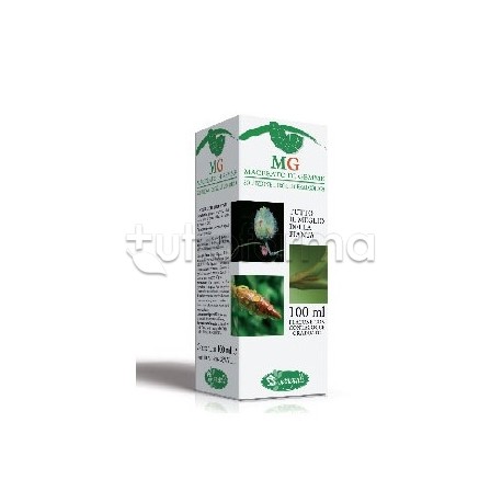 Sangalli Betula Verrucosa Linfa Macerato Glicerico 100ml Sangalli Betula Verrucosa Linfa Macerato Glicerico 100ml