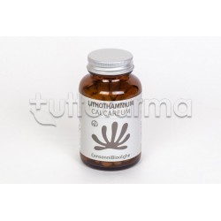 Lithothamnium Calcareum 180 Compresse Lithothamnium Calcareum 180 Compresse