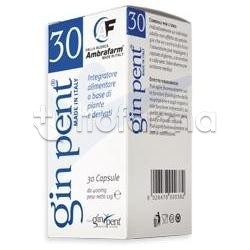 Ginpent Integratore per Apparato Cardiovascolare 30 Capsule Ginpent Integratore per Apparato Cardiovascolare 30 Capsule