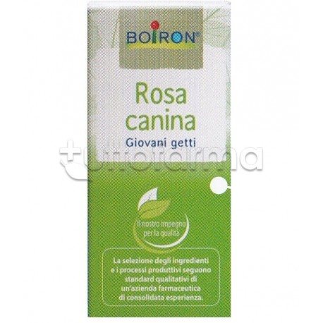 Boiron Rosa Canina Macerato Glicerico 60ml