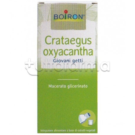 Boiron Crataegus Oxyacantha Biancospino Macerato Glicerico 60ml