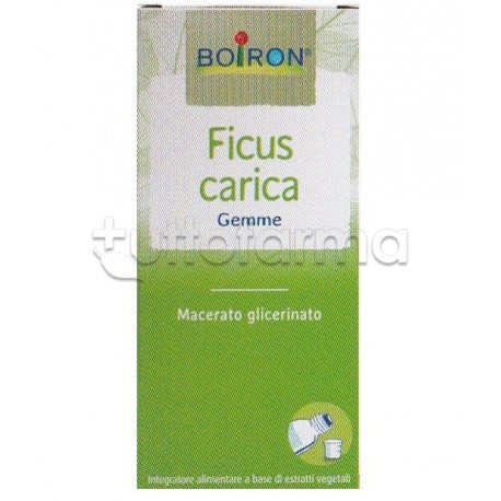 Boiron Ficus Carica Gemme Macerato Glicerico 60ml
