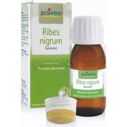 Boiron Ribes Nigrum Gemme Macerato Glicerico 60ml