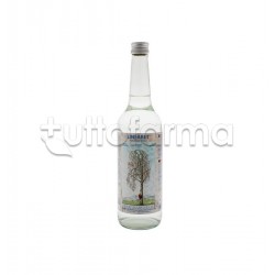 Linfabet Linfa Betulla Composto Drenante e Depurativo 700ml Linfabet Linfa Betulla Composto Drenante e Depurativo 700ml
