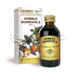 Dr. Giorgini Sorbus... Dr. Giorgini Sorbus...