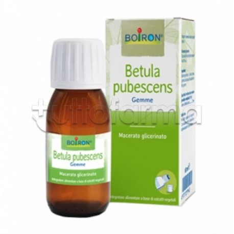 Boiron Betula Pubescens Macerato Glicerico 60ml