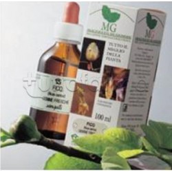 Laboratorio Sangalli Ginepro Macerato Glicerico 100ml Laboratorio Sangalli Ginepro Macerato Glicerico 100ml
