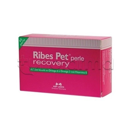 Ribes Pet Recovery 60 Perle