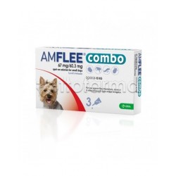 Amflee Combo... Amflee Combo...