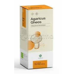 Agaricus Gheos Integratore per Difese Immunitarie 90 Capsule Agaricus Gheos Integratore per Difese Immunitarie 90 Capsule