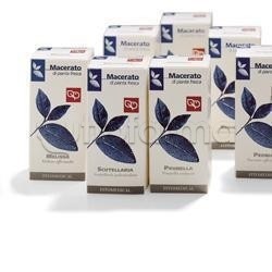 Fitomedical Olivo Tintura Madre per Circolazione 100ml