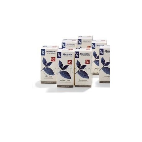 Fitomedical Olivo Tintura Madre per Circolazione 100ml Fitomedical Olivo Tintura Madre per Circolazione 100ml