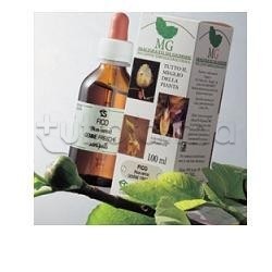 Sangalli Rosa Canina Macerato Glicerico Antiallergico 100ml scatola e flacone Sangalli Rosa Canina Macerato Glicerico Antiallergico 100ml scatola e flacone