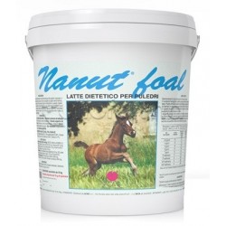 Nanut Foal Polvere per... Nanut Foal Polvere per...