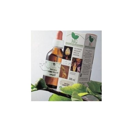 Sangalli Betulla Verrucosa Semi Macerato Glicerico 100ml scatola e flacone Sangalli Betulla Verrucosa Semi Macerato Glicerico 100ml scatola e flacone