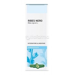 Erba Vita Ribes Nero... Erba Vita Ribes Nero...