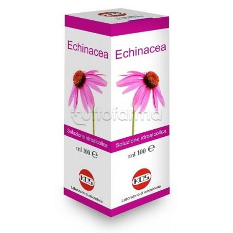 Kos Echinacea Integratore per Difese e Vie Respiratorie Flacone 100ml Kos Echinacea Integratore per Difese e Vie Respiratorie Flacone 100ml