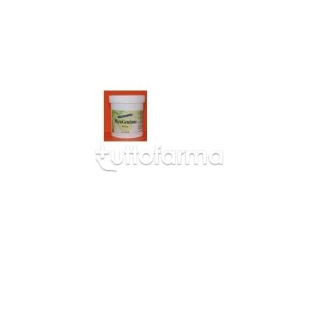 Phytogenziana Integratore per lo Stomaco e Intestino 60 Capsule Phytogenziana Integratore per lo Stomaco e Intestino 60 Capsule