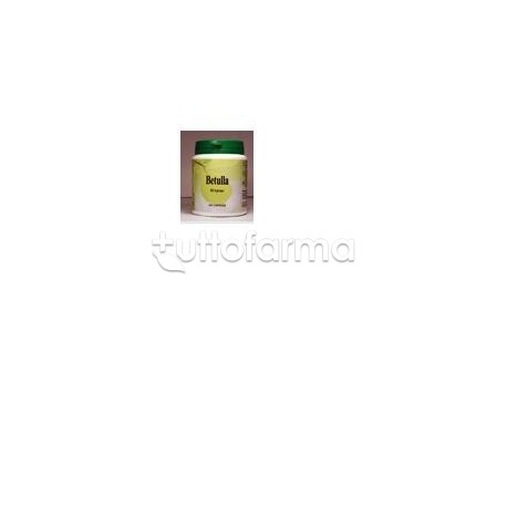 Betulla per Patologie Reumatiche e Vie Urinarie 60 Capsule Betulla per Patologie Reumatiche e Vie Urinarie 60 Capsule
