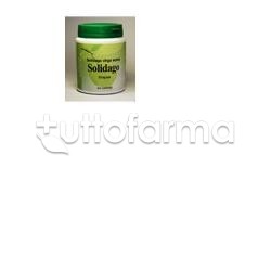 Solidago per Affezioni... Solidago per Affezioni...